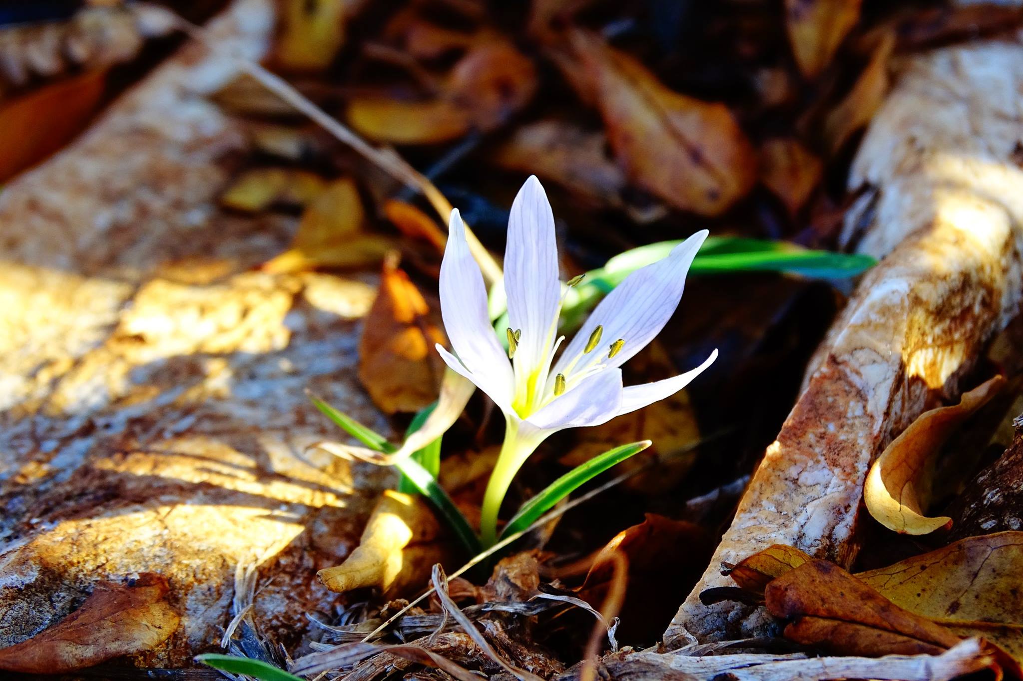 Поверніться до Бога і молитви  (о. Любо Куртович)