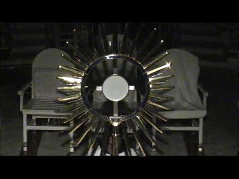 "Прийдіть до Мене всі втомлені і обтяжені…" Адорація