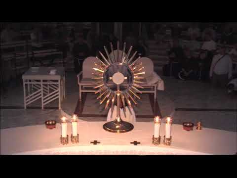 Адорація на Урочистість Народження св. Йоана Хрестителя 24.06.19