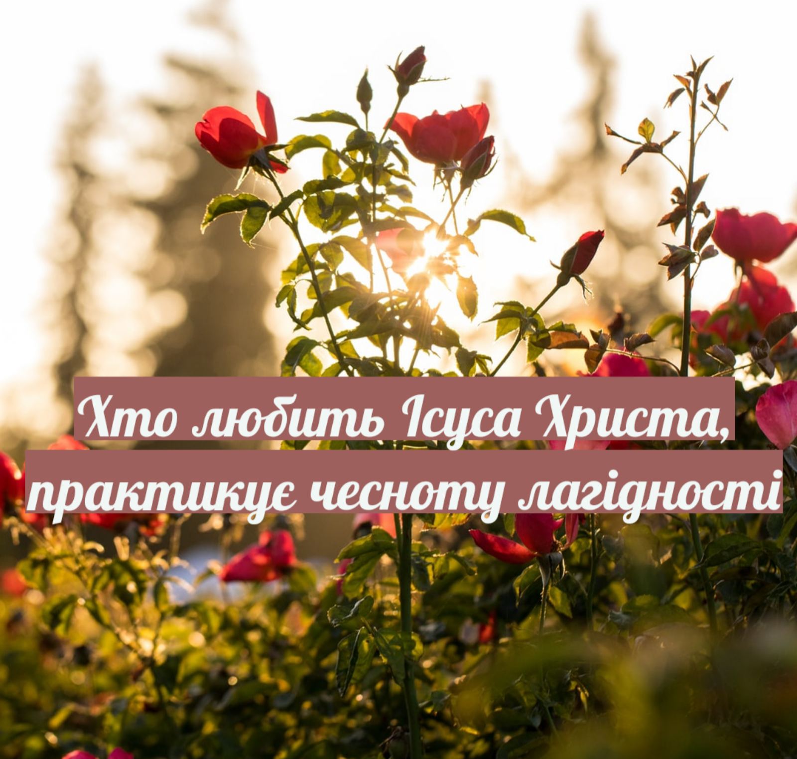 ЧЕТВЕРТИЙ ДЕНЬ: ТЕПЛО СПІЛЬНОГО ЖИТТЯ