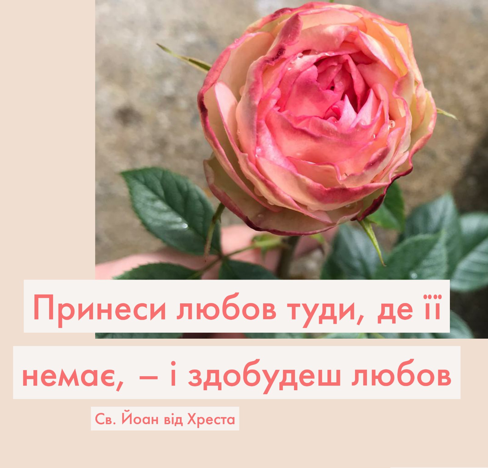 ДЕНЬ П’ЯТИЙ: У ВЕСІЛЬНІЙ КІМНАТІ. ЙОСИФ – НАРЕЧЕНИЙ ТАЄМНИЦІ МАРІЇ