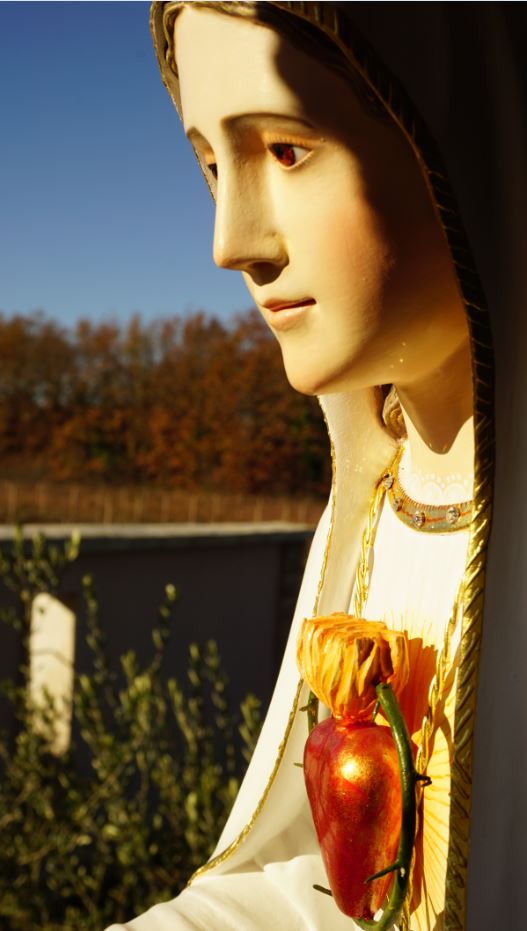 Будьте міцні у молитві та відважні у вірі (Терезія Гажіова)