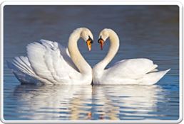 Сім’ям, щоб були сильними у Богові…