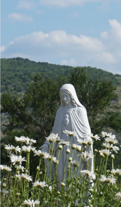 Послання Богородиці, Цариці миру, від 25 червня 2015 року