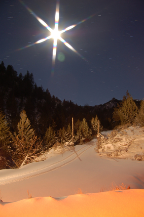 Приношу вам Мого Сина Ісуса (M.M.)