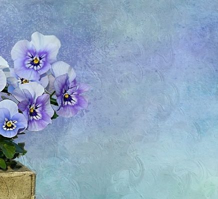 Шукайте в природі Бога (о. Любо Куртович OFM)