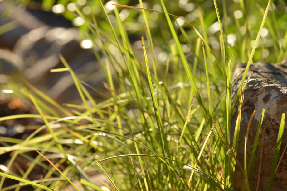 Моліться Святому Духові (о. Любо Куртович)