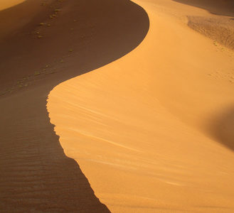 З отцем Славком у благодатному часі посту