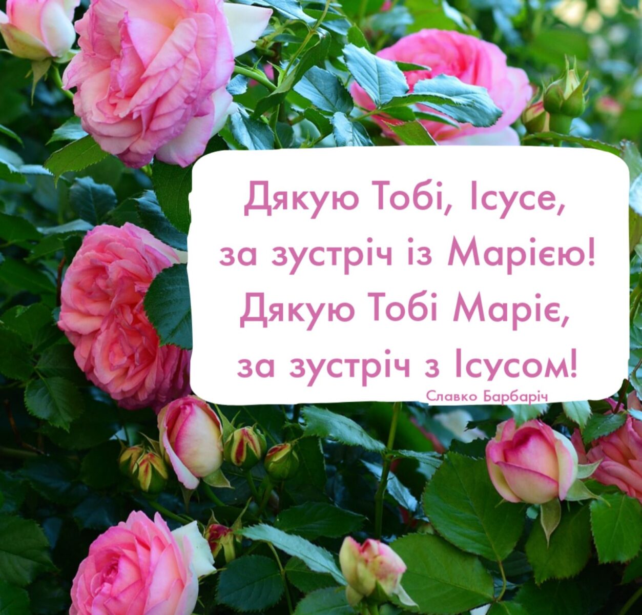 ДЕНЬ П’ЯТИЙ: МАРІЯ – МАТИ ЦЕРКВИ