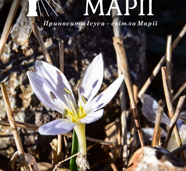 Світло Марії. Лютий 2021