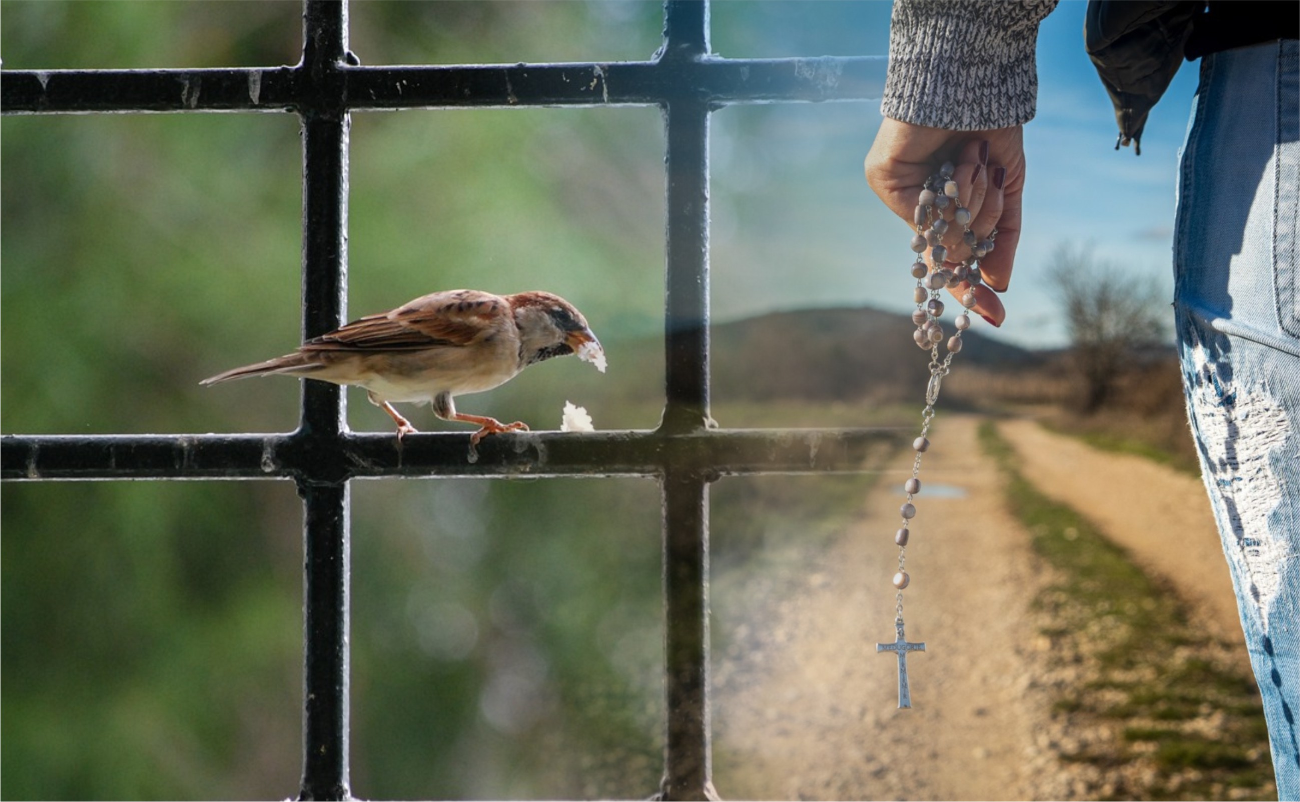 Оновлена людина