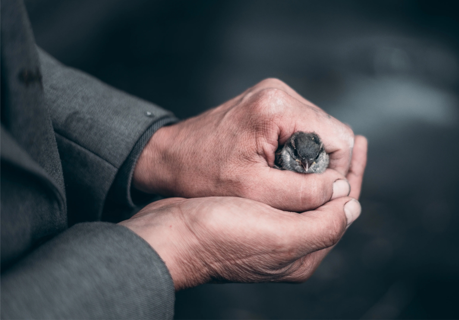 Сатана хоче обмотати вас мотузками немиру та ненависті (о. Любо Куртович, OFM)