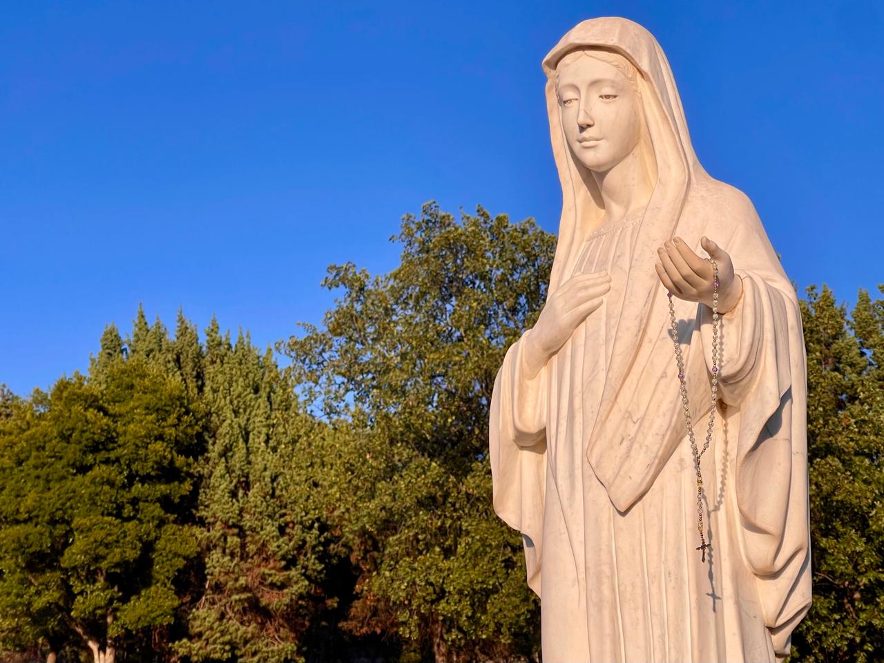 Боріться за святість кожного життя! (о. Марінко Шакота, OFM)